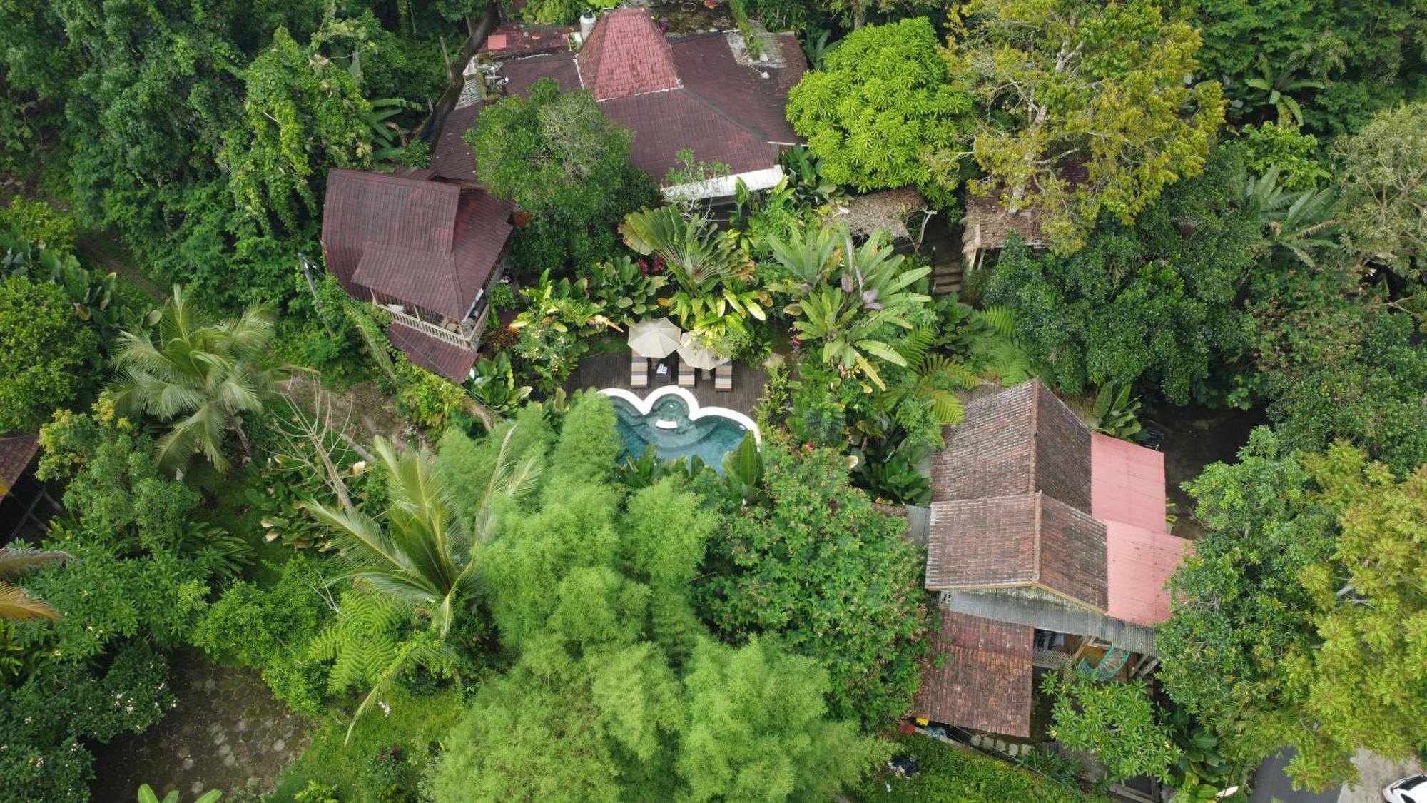 Umah Tis Sebatu Villa Tegallalang  Luaran gambar