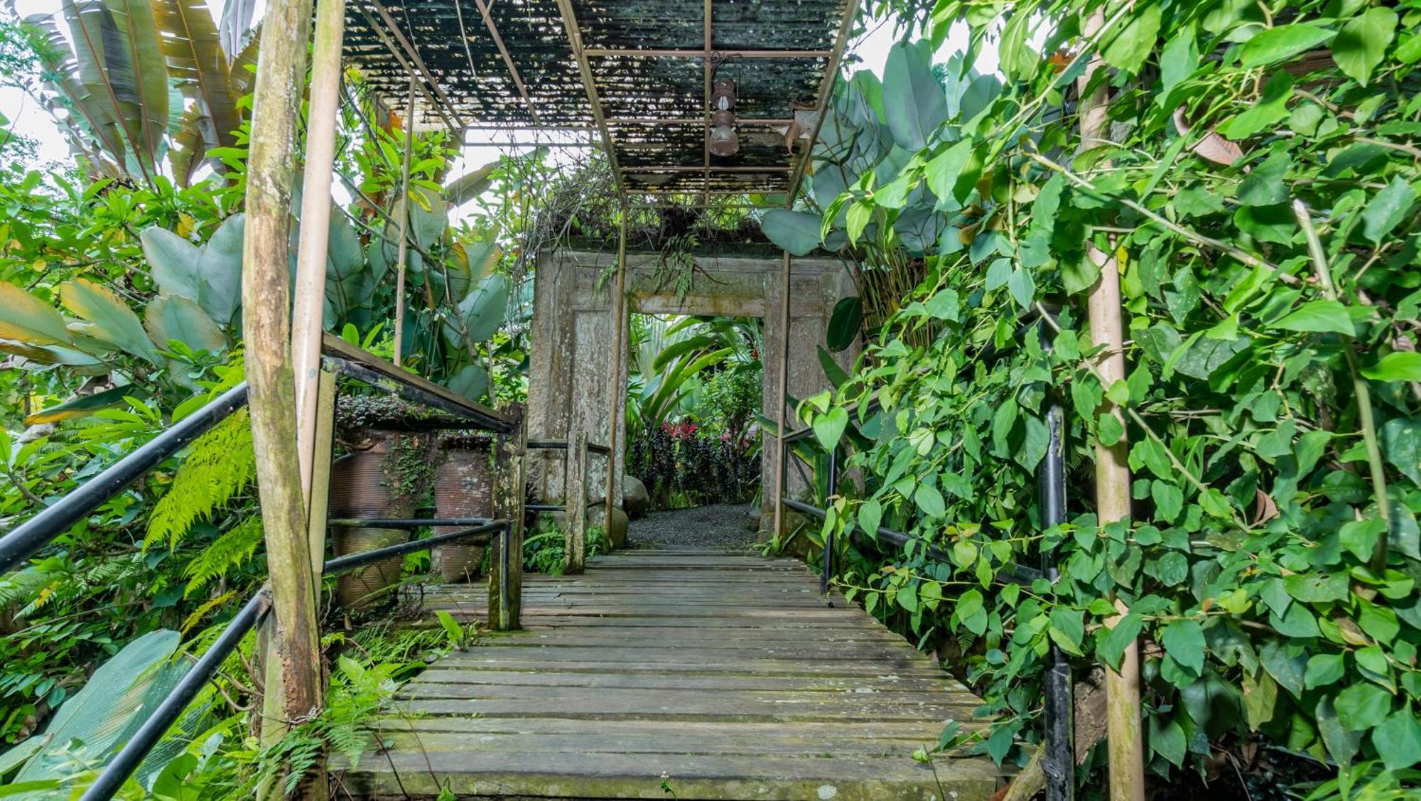 Umah Tis Sebatu Villa Tegallalang  Luaran gambar